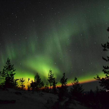 Lagomhuset - A Peaceful Holiday In Swedish Lapland Vidsel Εξωτερικό φωτογραφία