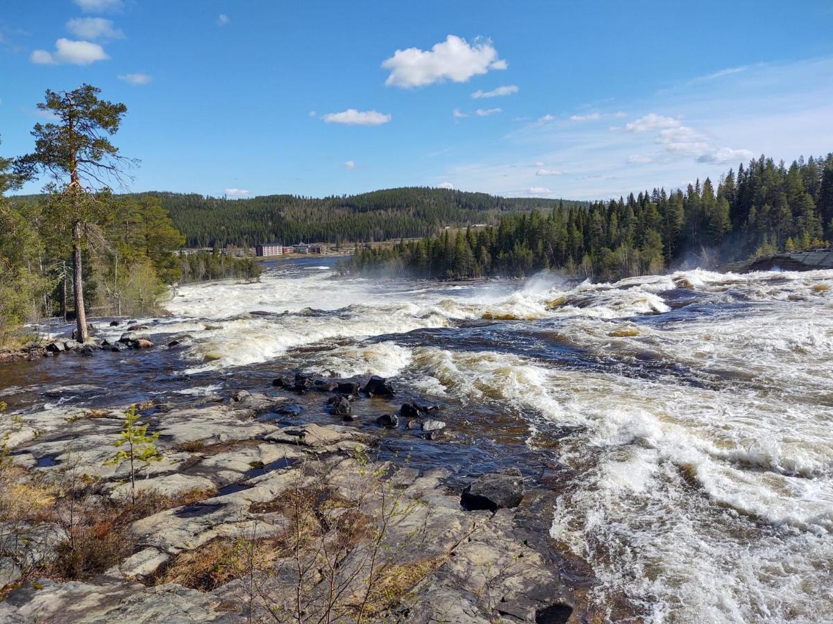 Lagomhuset - A Peaceful Holiday In Swedish Lapland Vidsel Εξωτερικό φωτογραφία